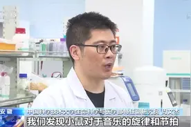 声音竟能减轻疼痛？我国科学家破译声音镇痛的神经机制图片