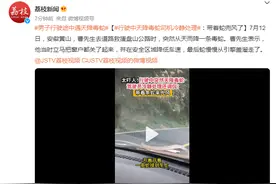 行驶中天降毒蛇，司机冷静处理：带着蛇兜风了图片