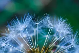 脾胃虚弱饮食有讲究，这样吃健脾养胃图片