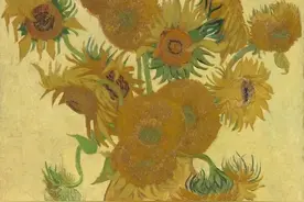 打卡一波向日葵花海？推荐点位在此图片