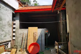 四川乐至进村黑熊来历调查：40公里外村民家中发现两只熊，涉非法养殖 是否有熊出逃待查图片