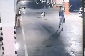 北京一宠物狗主人在地库遛狗不栓绳，狗被撞伤后这样要求？图片