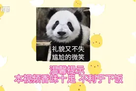 一堂“有味道”的科普课！小考拉小水豚吃“粑粑”的原因图片