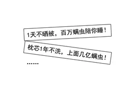 螨虫进入活跃期，如何跟它“斗智斗勇”？图片