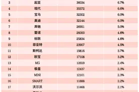 那些出口欧洲的中国电动车销量怎么样？图片