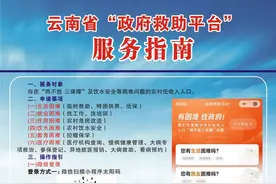 “云南省政府救助平台”各项服务事项操作指南图片