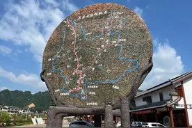 “野生茶王树”之乡茶叶飘香图片