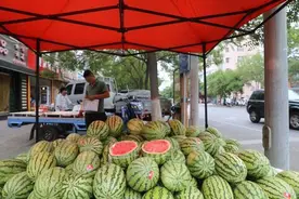 兴庆区为流动摊位“安家”图片