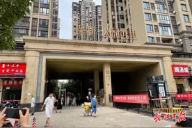 用公共收益给小区打造立体“防空网”，武汉这家小区业委会这样治理高空抛物图片