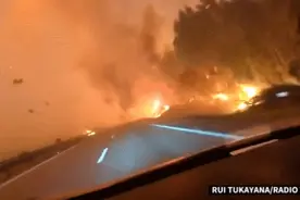 600人死于高温、数万人因山火撤离…欧洲极端高温天气“如同地狱”图片