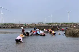 逃离酷夏，向威海荣成石岛出发图片