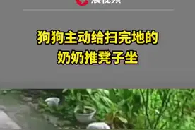 狗狗立大功！小狗给扫完地的奶奶推凳子坐图片