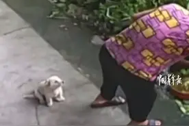 奶奶干完活小狗推凳子给奶奶坐，太暖心！网友：别让我爸妈看见图片