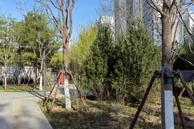 出门就能运动赏景！西城马连道新增休闲公园图片