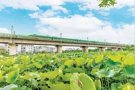 “坐着火车游云南”专列助旅客畅快出游图片