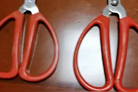 菜刀拍蒜断裂，张小泉道歉！情报员热议：不能拍蒜的刀不是好刀图片