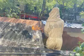 遭遇马蜂怎么办？我省消防带您一起学习马蜂防治安全常识图片