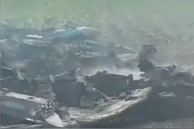 “一架苏35战机被击落”！俄媒：欧洲最大核电站遭乌军无人机袭击图片