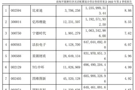 公募明星经理调仓揭晓：崔宸龙加仓宁德时代、星源材质，谢治宇重点关注信息技术、消费产业图片