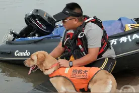 1分钟左右救起“溺水者”！一起来看重庆首只水上救援犬的故事图片