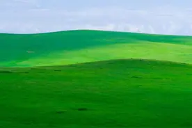 满眼青翠，景色如画，这份夏日草原壁纸请收下图片