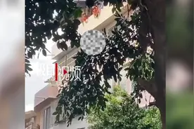 男子挣脱拉拽从5楼跳下落在气垫上，医院：无生命危险图片