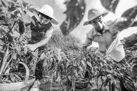 这个夏天，给自己多一份“清凉”图片