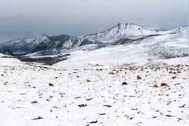 全国极端高温，这三地却“七月飘雪”正常吗？专家：不罕见图片