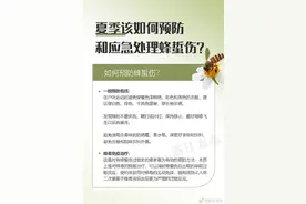 夏季该如何预防和应急处理蜂蜇伤？图片