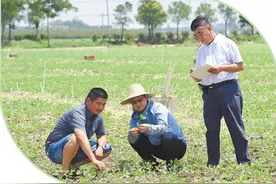 种粮大户，珍惜这份光荣图片