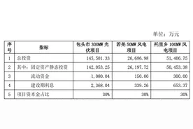 特变电工投22亿建设多个光伏和风电项目图片