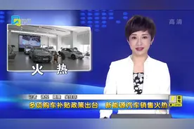 多项购车补贴政策出台 新能源汽车销售火热视频封面