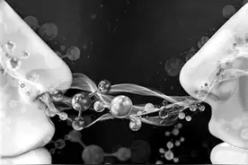 能不能做好朋友 闻一闻气味就知道图片