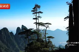 来这座不用爬的山，享受22℃的夏天图片