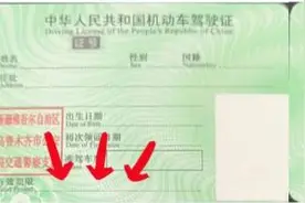 车主，C1驾驶证小宝典是否能够为您避雷图片