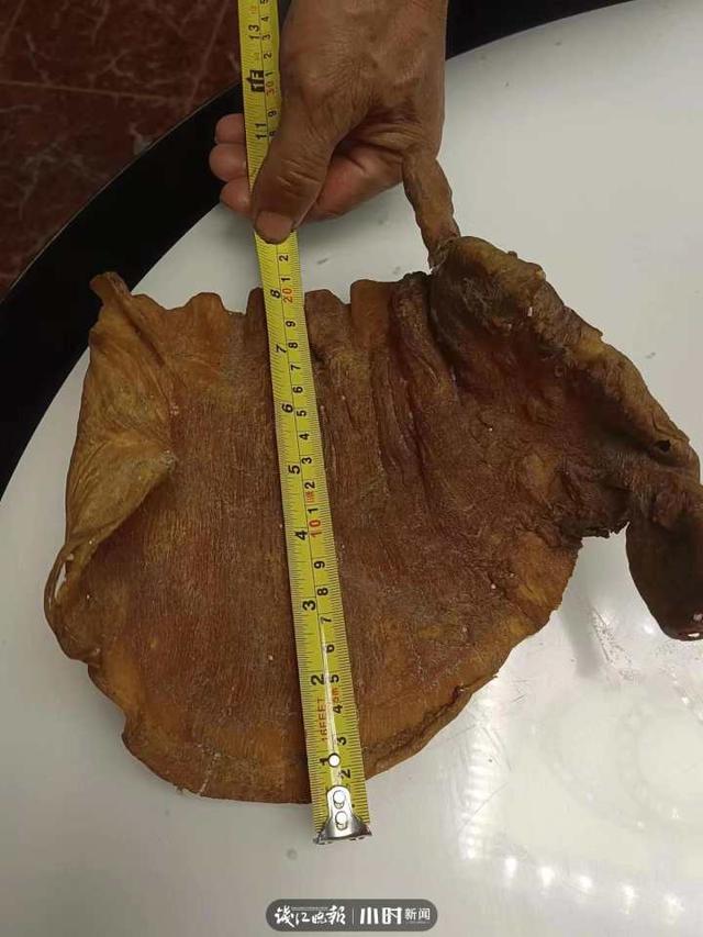 孕妇发烧能吃花胶吗 2026年孕妇发烧可以吃