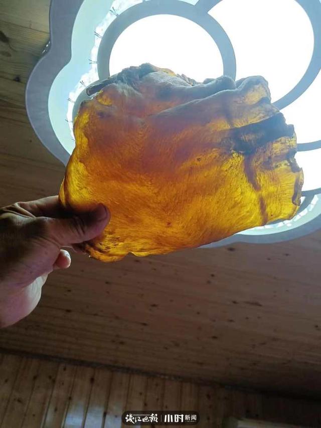 一斤鱼胶有多少个 2026年一斤鱼胶大概有几个