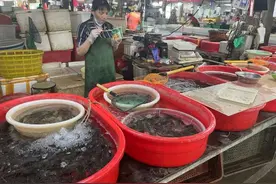 鲜虾自由？真的！最近杭州菜场虾的价格美丽，爱吃虾的别错过图片