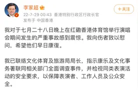 香港红馆演唱会600公斤大屏高空掉落砸中两人图片