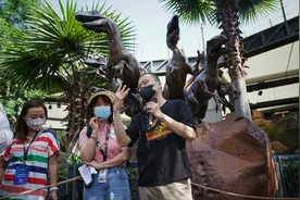 北京环球度假区推出侏罗纪世界度假套餐，与“史前恐龙”亲密互动图片