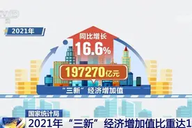 2021年我国新产业、新业态、新商业模式等“三新”经济增加值比重达17.25%图片