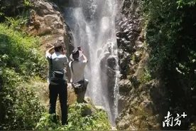 夏日避暑胜地！高州古丁大山深处“藏”瀑布图片
