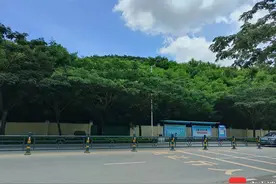 新海南调查 |“狗岭路”太俗？三亚狗岭路改名之争 你站哪边？图片