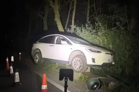 酒后坐副驾，使用“自动驾驶”撞路灯？特斯拉回应图片