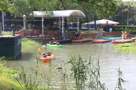 东方绿舟，大观园，青西郊野公园……暑假，去市郊与大自然亲密接触图片