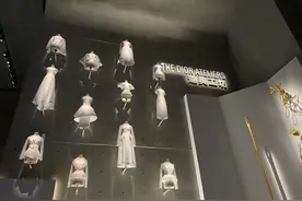 一年卖430亿的迪奥不怕得罪中国人？马面裙风波未平，又“借鉴”花鸟图图片