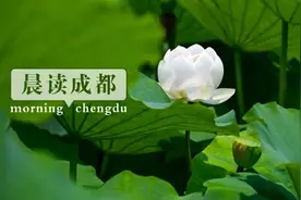 晨读成都 | 龙泉山城市森林公园旅游环线有新进展图片