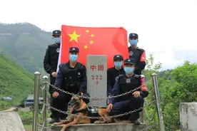 泪目！退役缉毒犬第一次“违抗”命令图片