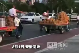 亳州谯城区回应“两商贩向河中扔榴莲”：当事人很后悔，已批评教育图片