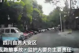 30秒｜娃娃乱跑被撞伤 监护人要负主要责任图片